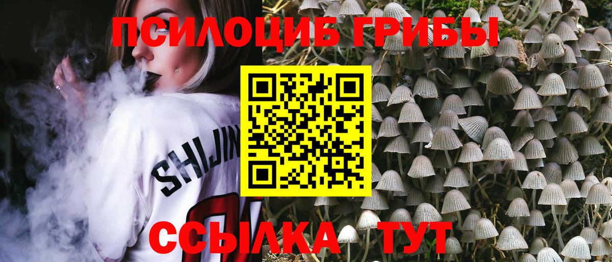 Чапаевск  Псилоцибиновые грибы GOLDEN TEACHER  Вход с VPN  Галлюциногенные грибы Psilocybine cubensis 